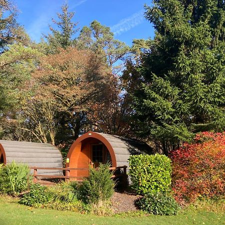 Glamping Hut - By The Way Campsite Tyndrum Exterior foto